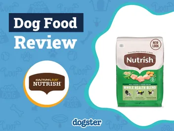 Rachael Ray Dog Food Review 2026: Recalls, Pros & Cons