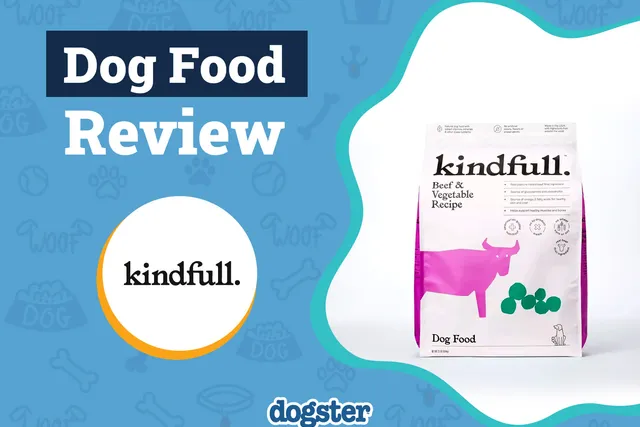 Kindfull Dog Food Review 2026: Pros, Cons & Recalls