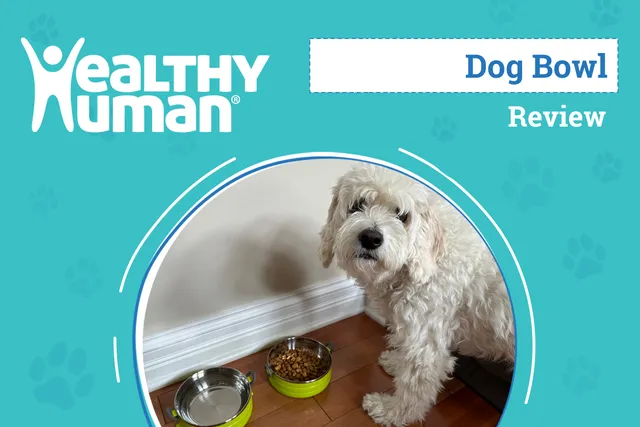 Healthy Human Pet Go Bento Bowl Review 2026: An Expert's Breakdown