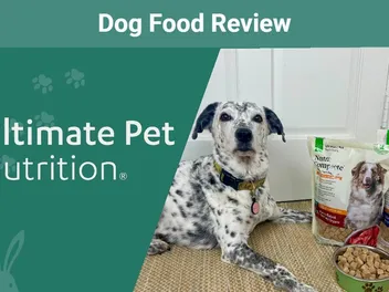 Nutra Complete Dog Food Review 2026: An Expert’s Breakdown