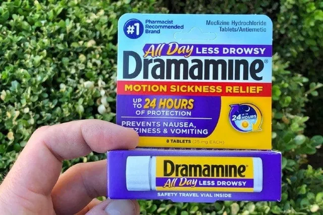 Dramamine For Dogs: Vet-Reviewed Uses & Potential Side Effects