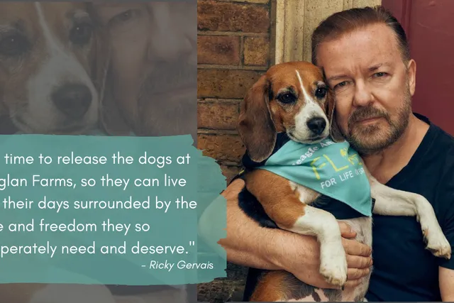 Ricky Gervais Says: It's Time to Release The Dogs