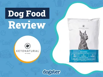 KetoNatural Dog Food Review 2026: Our Expert’s Opinion