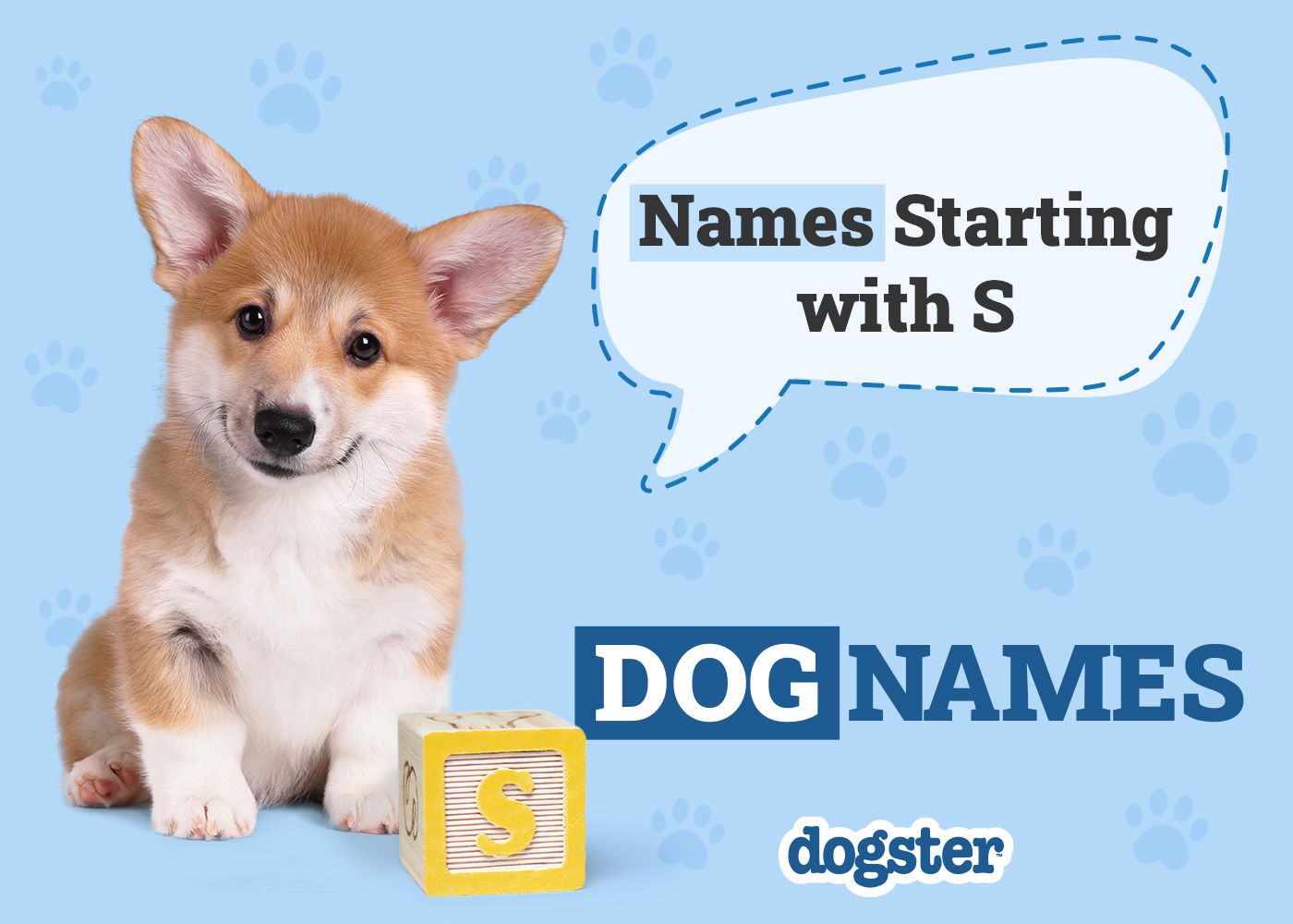 Dogster_Names Starting with S