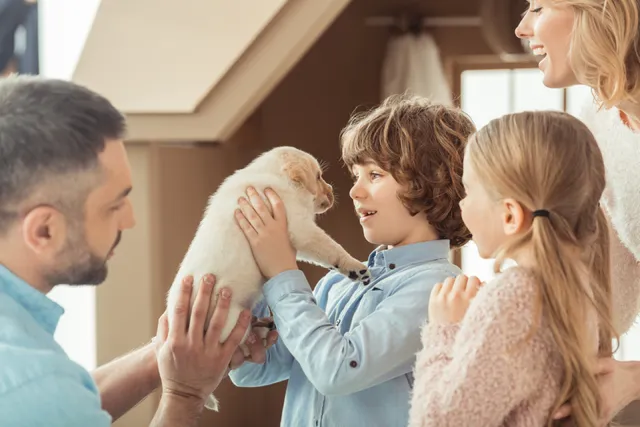 How to Take Care of a Puppy: Vet-Approved Guide for First-Timers