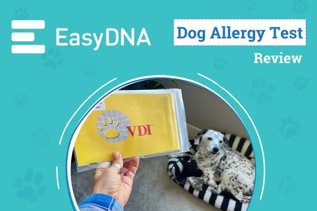 EasyDNA Dog Allergy Test Review 2026: A Comprehensive Allergen Test for Dogs