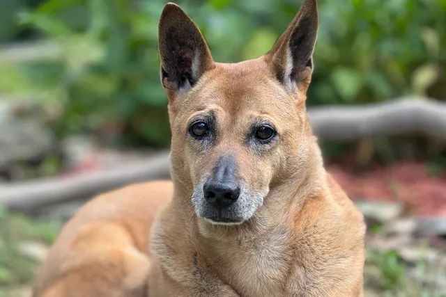 Happy Birthday, Jelly: Celebrating 14 Years With Me