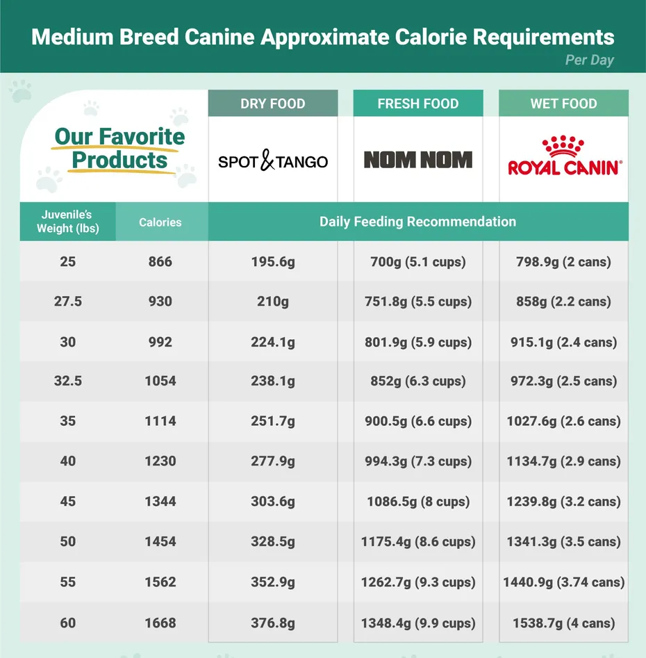 PetKeen_Calorie Requirements_juveniles_Medium Breed Canine_v1_Nov 22