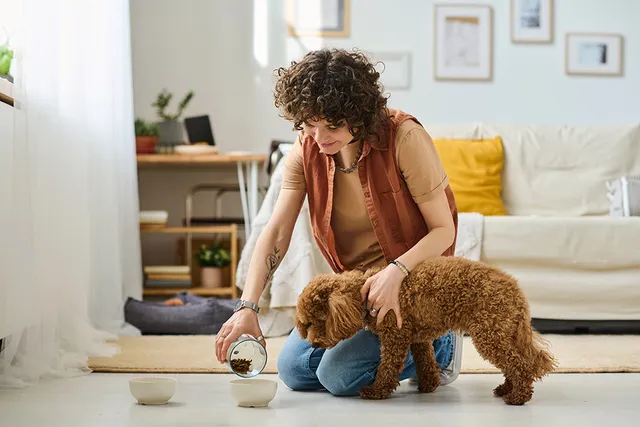 How Much Should I Feed My Dog? Vet-Approved Feeding Chart & Guide