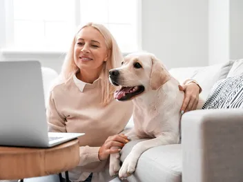 How to Get Vet Prescriptions Online: Our Vet Explains the 5 Steps & FAQ