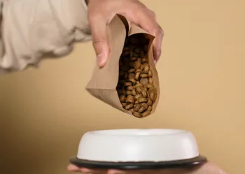 pouring dog food_cottonbro_Unsplash