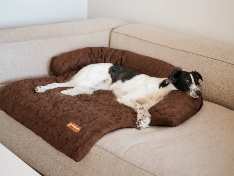 Black and white dog resting on a Pelsbarn HeatRelief cooling dog bed