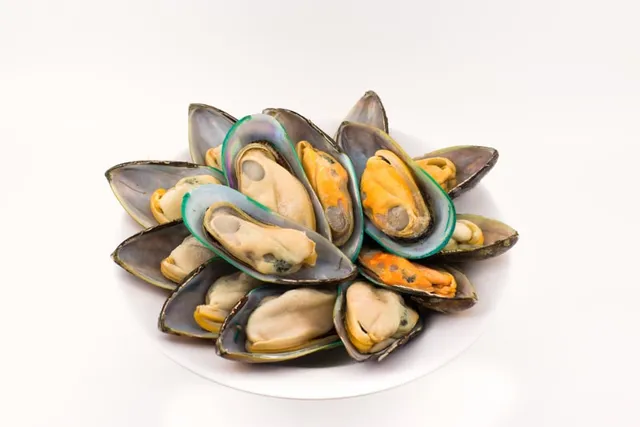 Green Lipped Mussels for Dogs: Vet-Verified Facts & FAQ