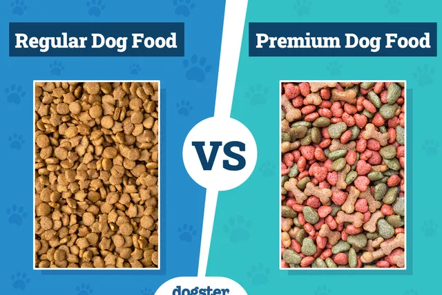 Regular vs Premium Dog Food: What's the Difference? Vet Reviewed Facts