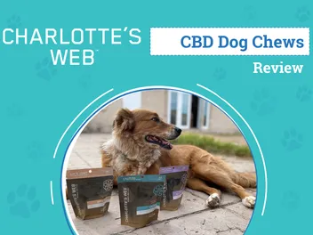 Charlotte’s Web CBD Pet Product Review 2026: An Expert's Breakdown
