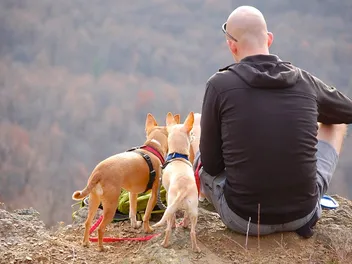 10 Dog-Friendly Hiking Trails in Wisconsin (2026 Guide)
