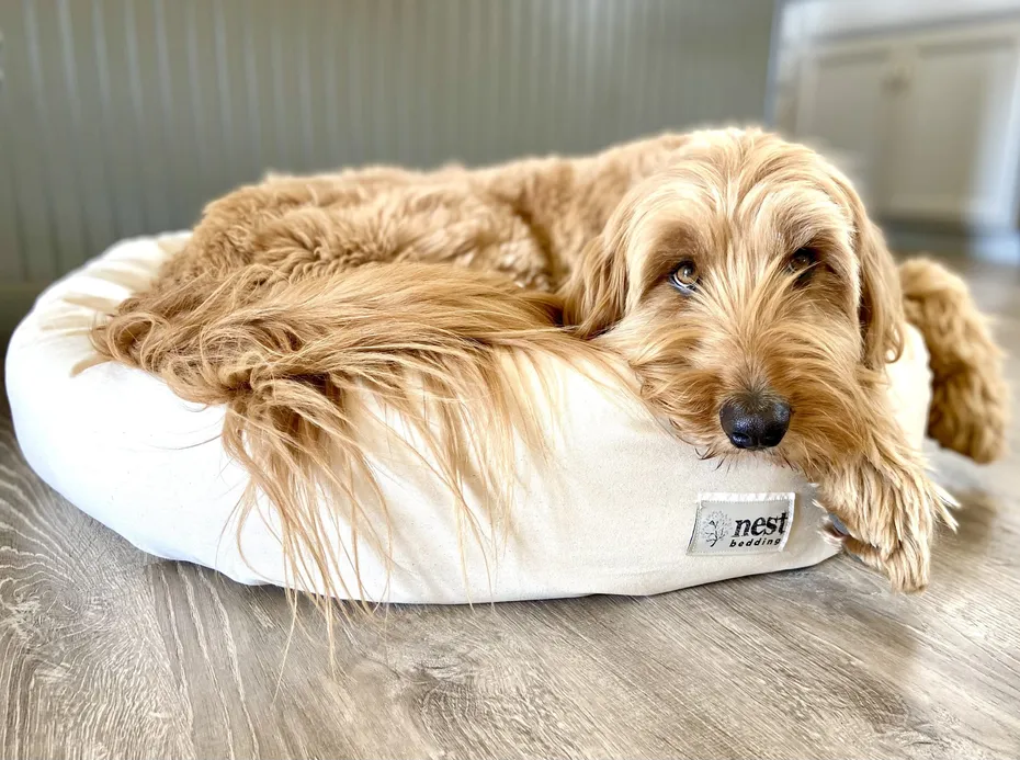 Nest Bedding Dog Bed