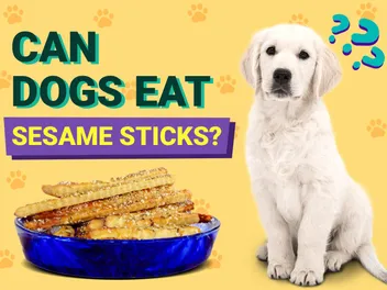 Can Dogs Eat Sesame Sticks? Vet-Verified Nutrition Facts & Risks