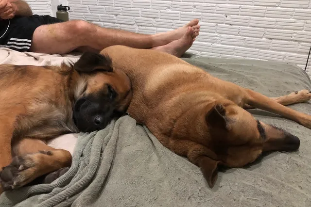 Snip Snip: Manic Gets Neutered