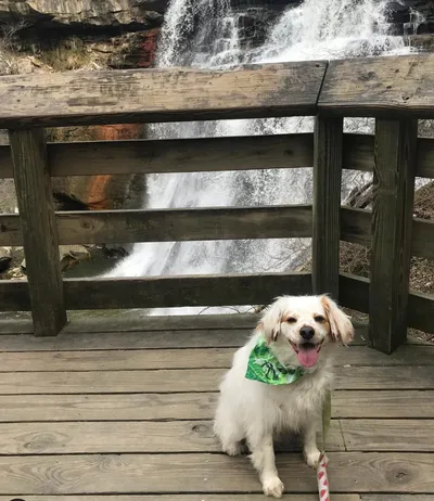 Cuyahoga Valley National Park