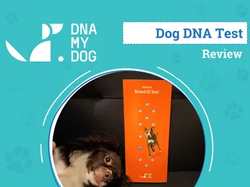 DNA My Dog Breed ID Test Review 2026: An Expert's Breakdown