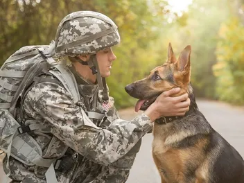 Military Dog Boarding: These Groups Help Take Care of Your Pup