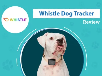 Whistle Dog Tracker Reviews 2026 - Pros, Cons & Verdict