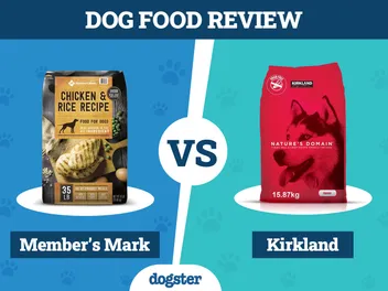 Members Mark vs Kirkland Dog Food (2026 Comparison): Pros, Cons, and What to Choose