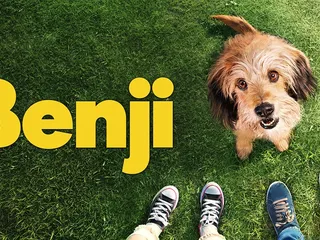 What Breed of Dog Is Benji? Famous Movie Character Facts