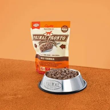 CANINE RAW FROZEN PRONTO BEEF