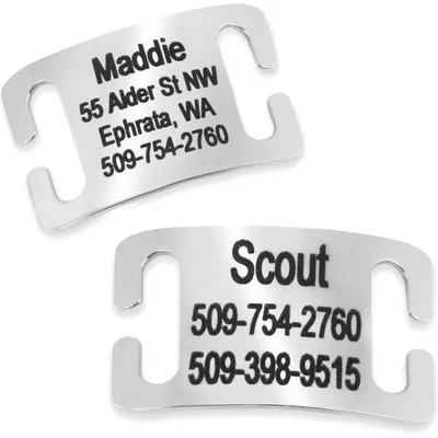 Frisco Stainless Steel Personalized Dog Tag