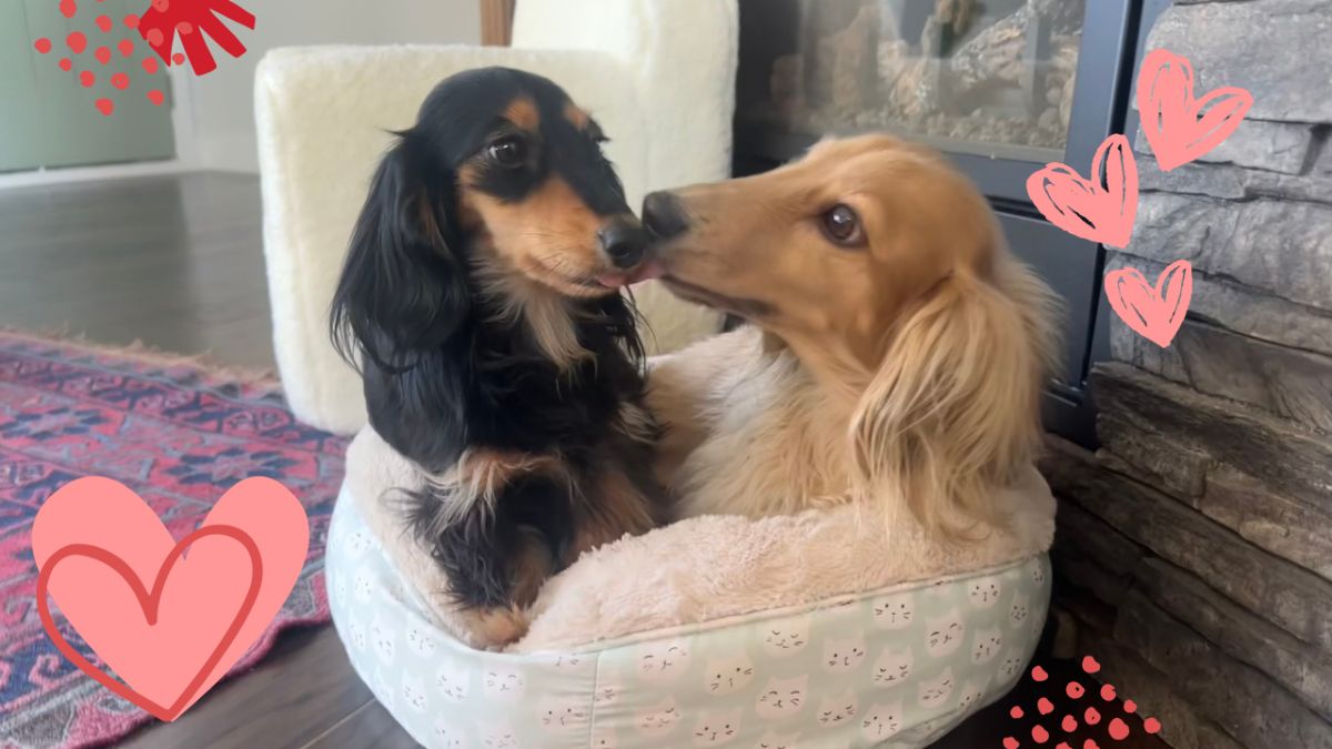 L-O-V-E - Draper and Rue