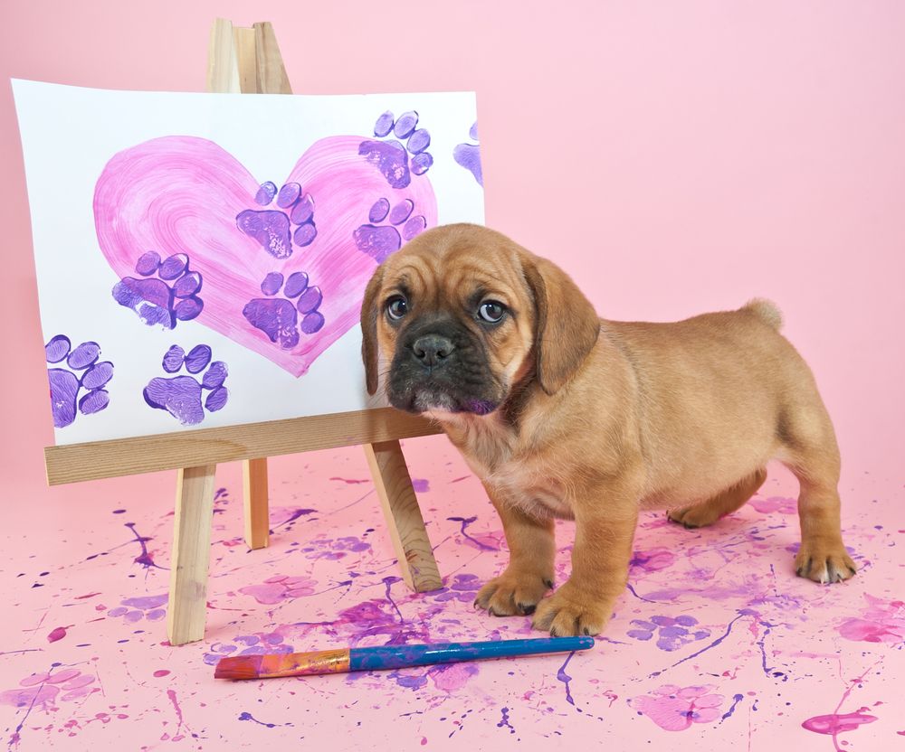 Cute puppy standing with a painting of a heart with paw prints going through it.