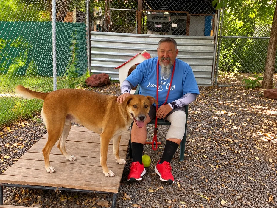 Lucky Dog Çevresinde gönüllülerle köpekler mutlu
