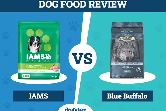 Iams Dog Food vs. Blue Buffalo: 2026 Comparison, Pros & Cons