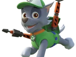 What Breed of Dog Is Rocky From Paw Patrol? Famous TV Character Facts