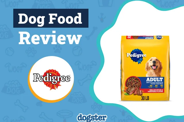 Pedigree Dog Food Review 2026: Recalls, Pros & Cons