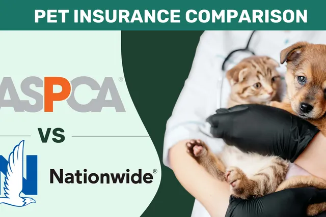 ASPCA vs. Nationwide Pet Insurance Comparison 2026: Pros, Cons, & Verdict
