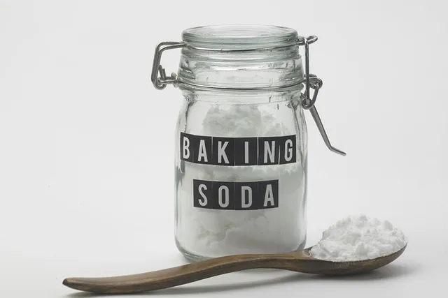 Will Baking Soda Kill Fleas? Our Vet Explains