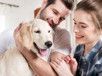Can You Rent a Puppy? Pros, Cons & Alternatives