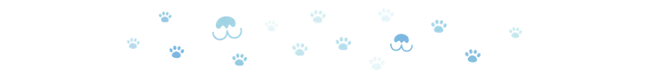 Dogster divider_v2_NEW_MAY_24_