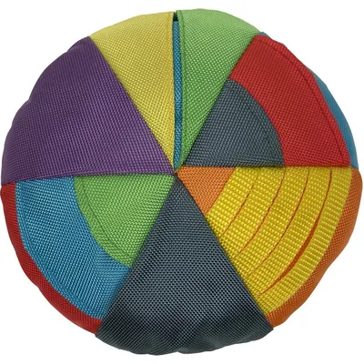 fouFIT Hide 'n Seek Disc Dog Toy