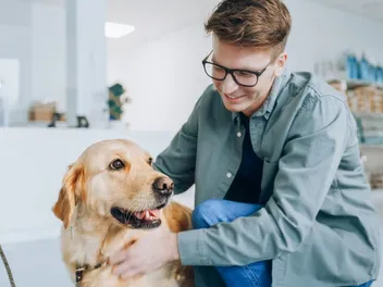 How to Make Your Dog Live Longer: Our Vet's 6 Tips to Increase Your Pup’s Lifespan