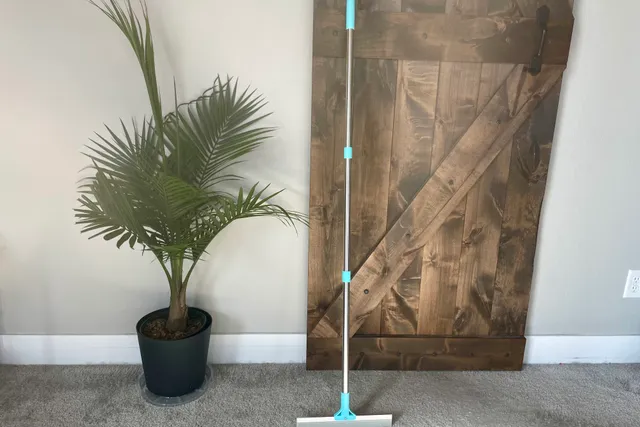 Fido Fave Dual-Sided Pet Hair Removal Carpet Rake Review 2026: Our Expert’s Opinion