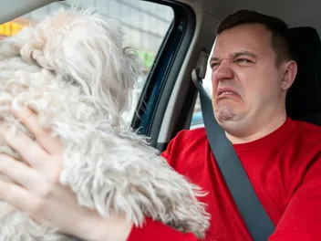 Cringing at Your Dog’s Breath? Try These 15 Vet-Approved Fixes