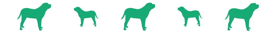 divider-dog
