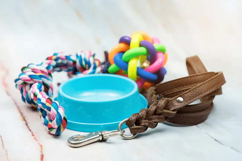 Pet supplies Essential