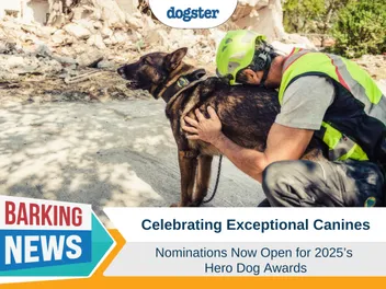 Celebrating Exceptional Canines: Nominations Now Open for 2025’s Hero Dog Awards®