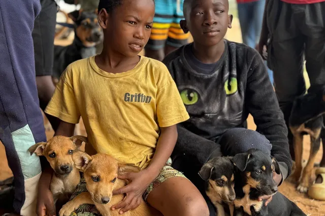 ‘STRONGER TOGETHER’: Battersea Dogs Home & Global Alliance For Rabies Control Collaboration To Eliminate Rabies