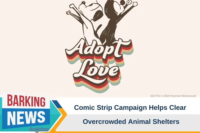 Comic Strip Campaign Helps Clear Overcrowded Animal Shelters